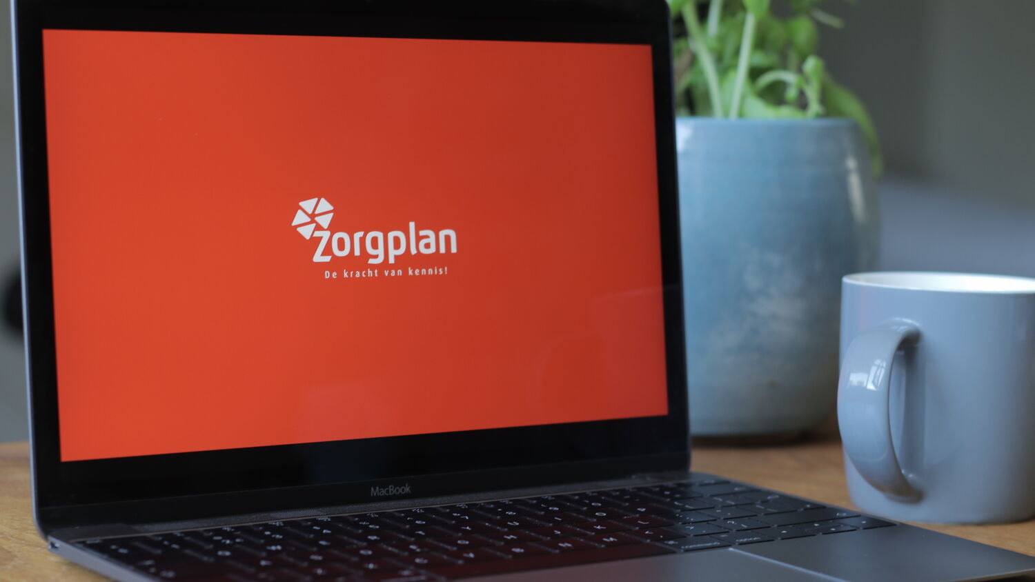Zorgplan onscreen